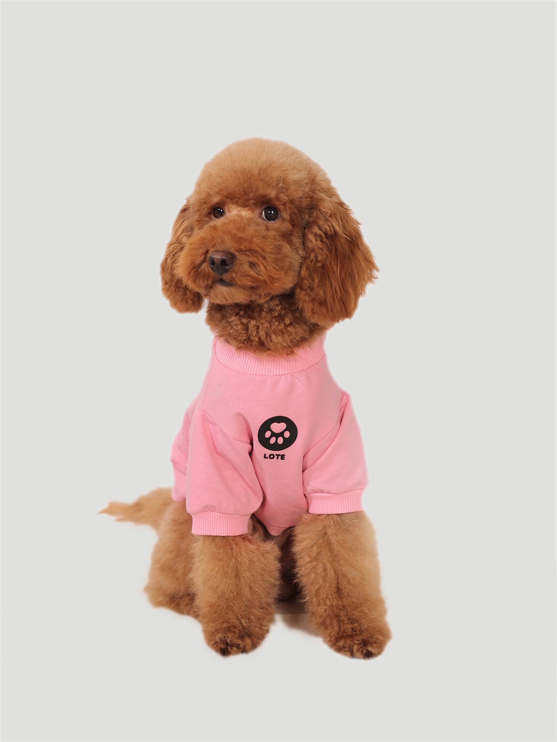 Lote Pembe Sweatshirt