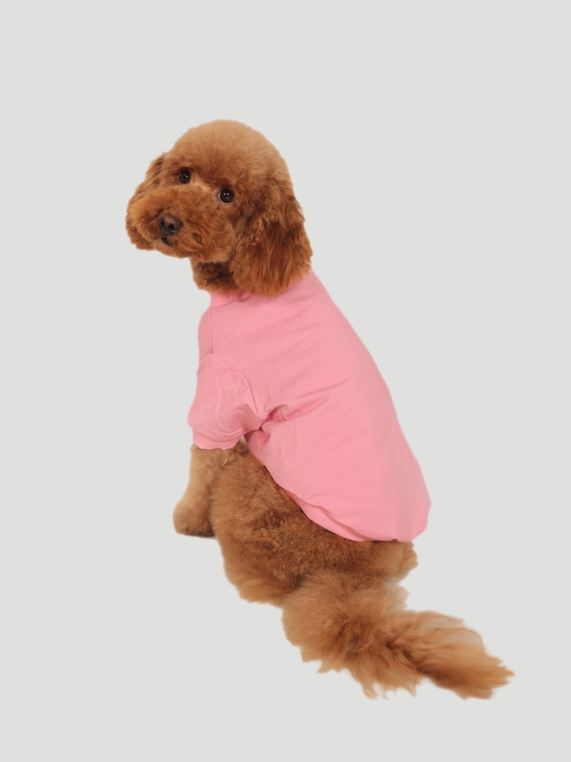 Lote Pembe Sweatshirt