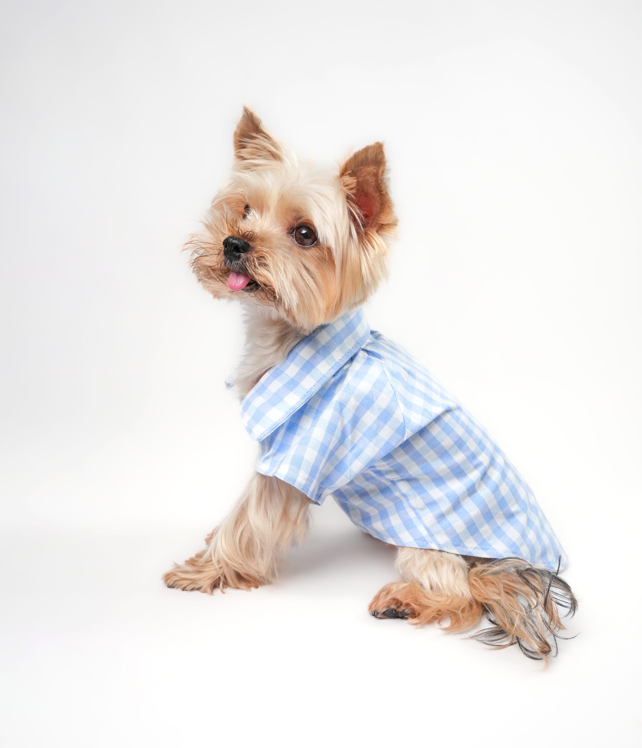 Lote Classy Mavi Gömlek