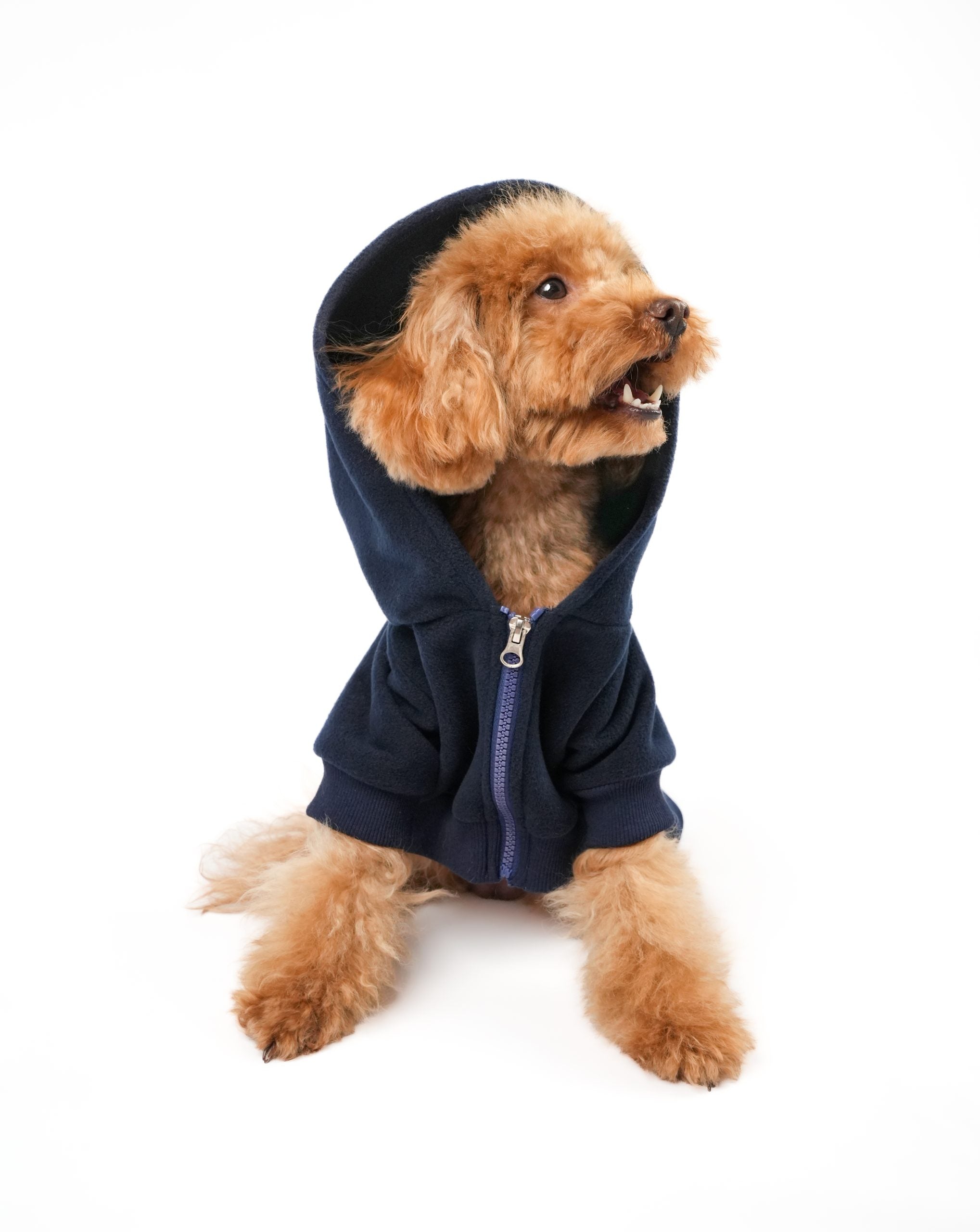 Laci Kapşonlu Hırka