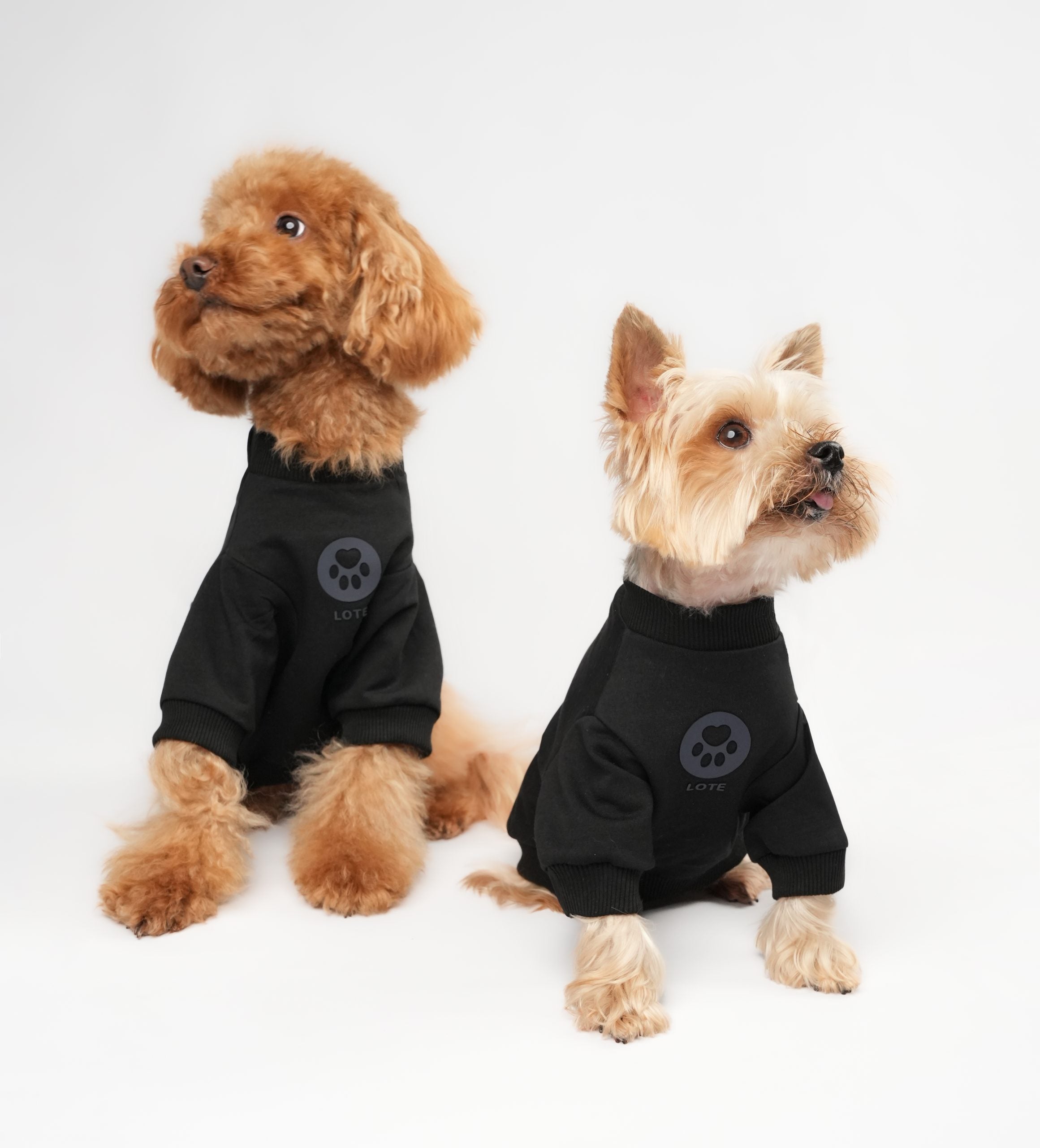 Siyah Lote Sweatshirt