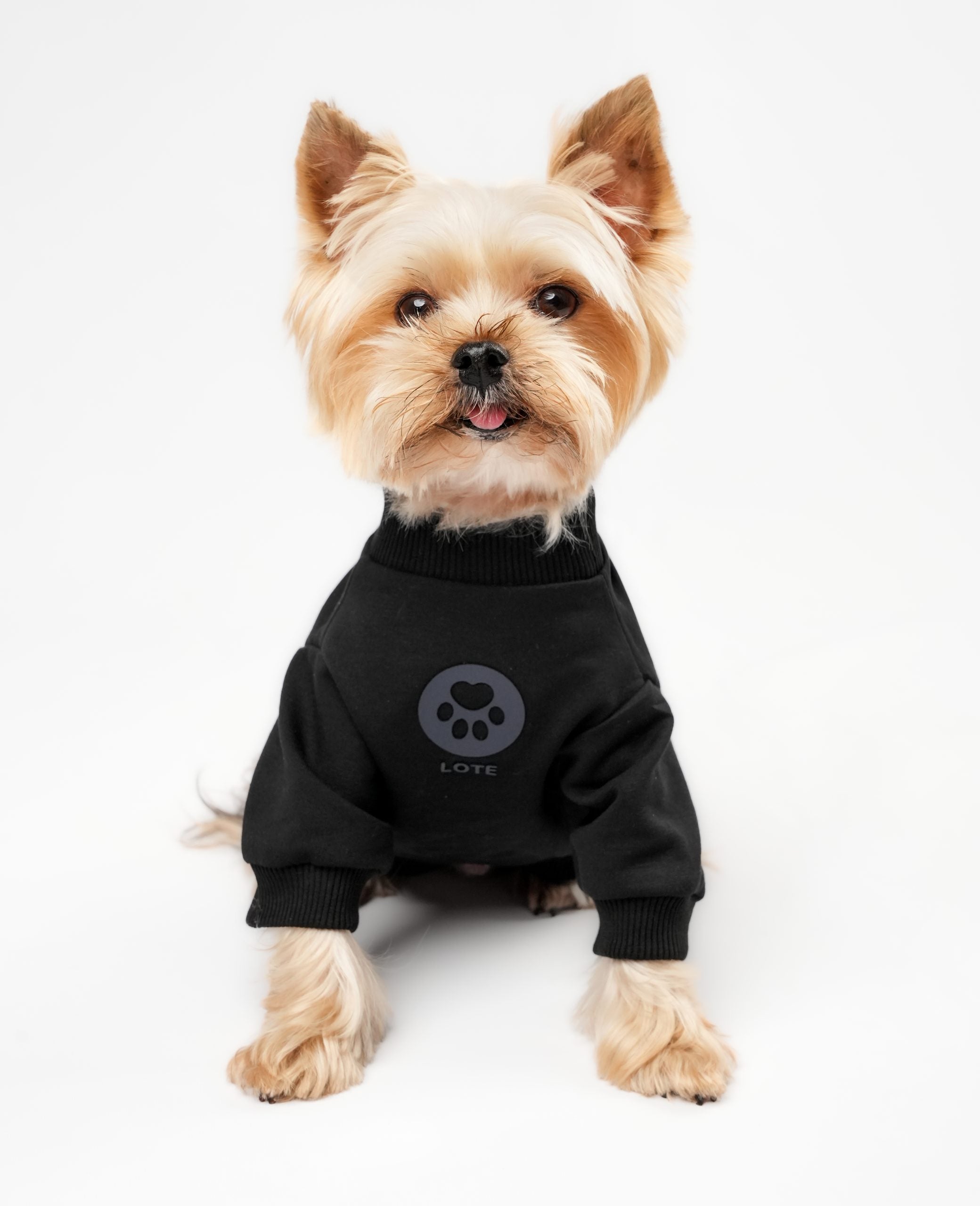 Siyah Lote Sweatshirt