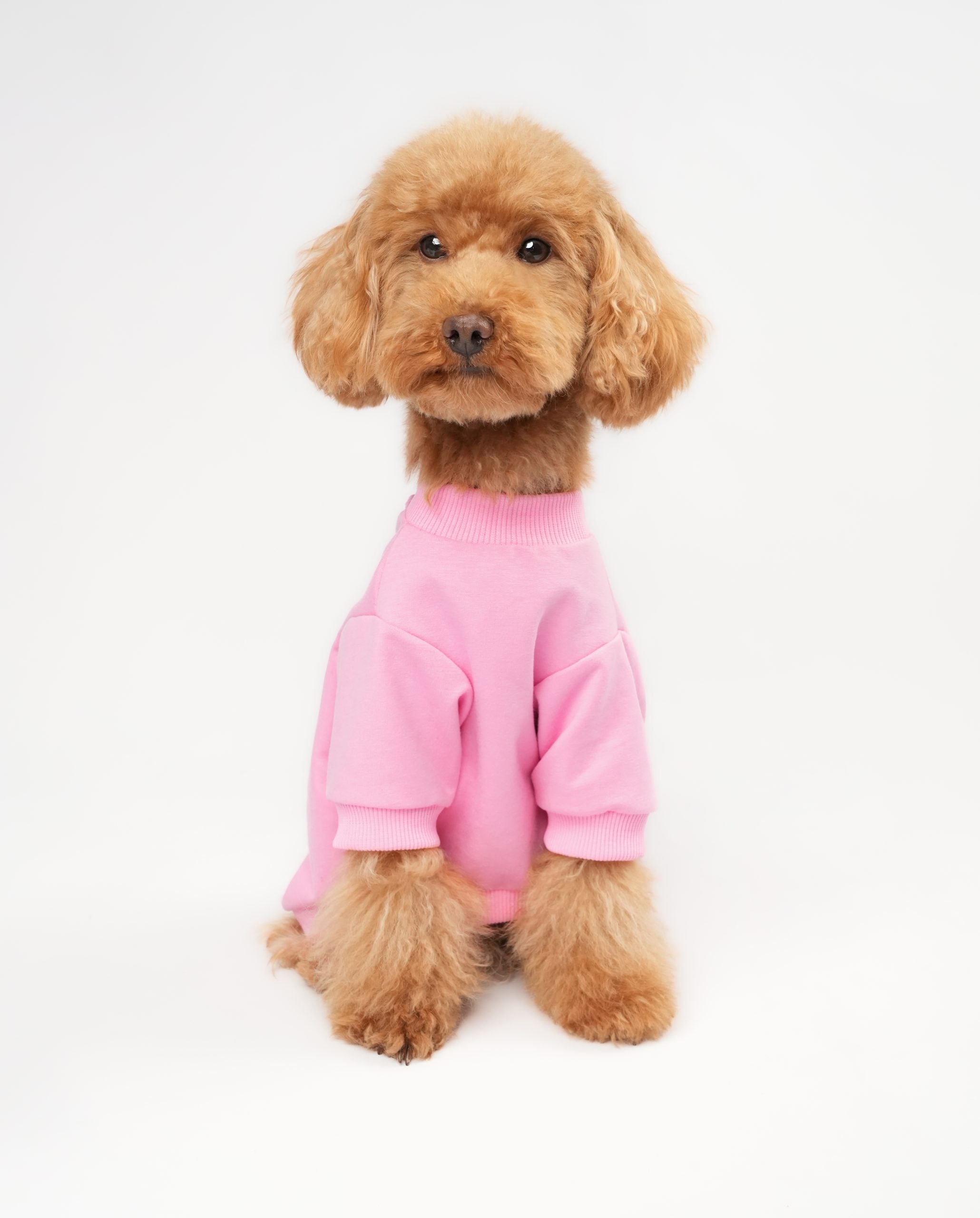 Pembe Basic Sweatshirt