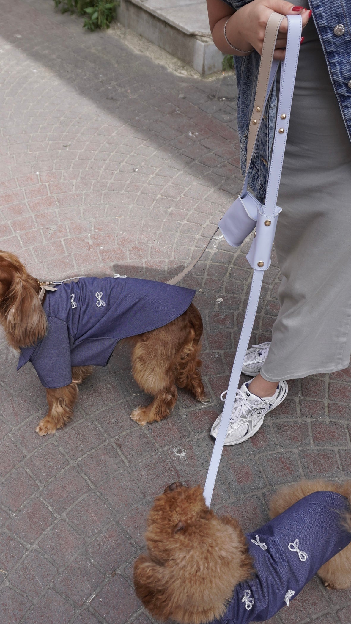 Tasmag Tasma/Kayış