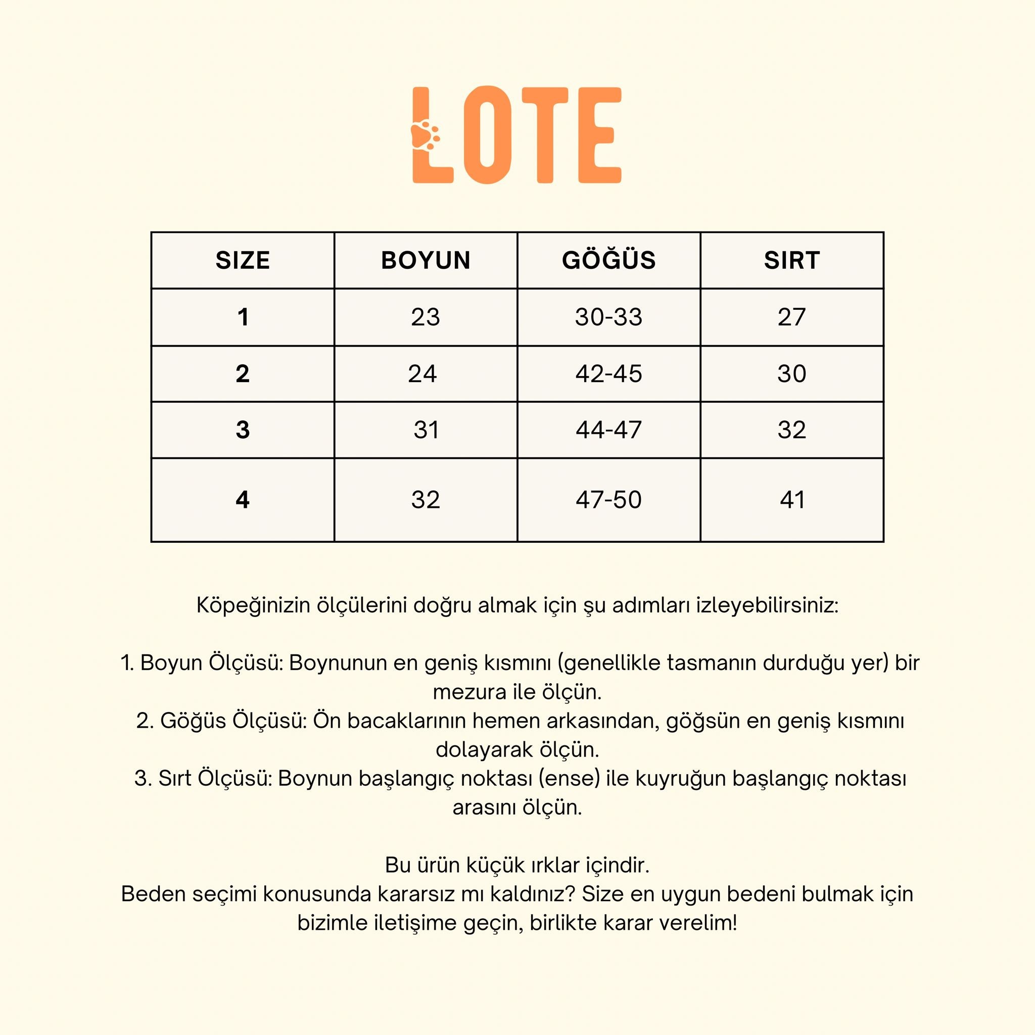 Lote Classy Mavi Gömlek